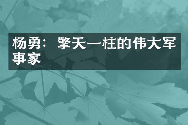 杨勇：擎天一柱的伟大军事家