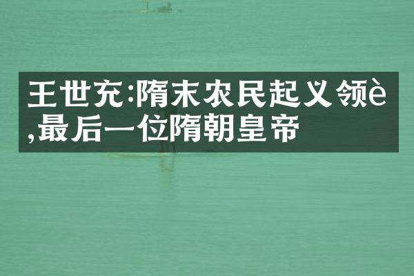 王世充:隋末农民起义领袖,最后一位隋朝皇帝