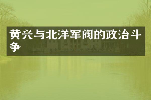 黄兴与北洋军阀的政治斗争