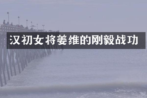 汉初女将姜维的刚毅战功