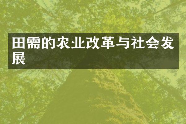 田需的农业改革与社会发展