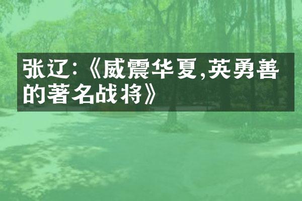 张辽:《威震华夏,英勇善战的著名战将》
