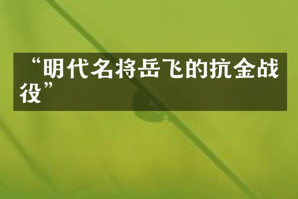 “明代名将岳飞的抗金战役”