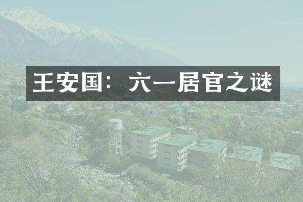 王安国:六一居官之谜