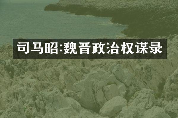 司马昭:魏晋政治权谋录
