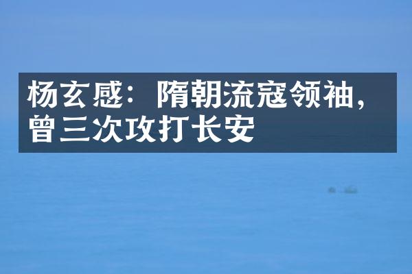 杨玄感：隋朝流寇领袖，曾三次攻打长安