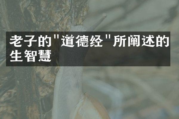 老子的"道德经"所阐述的人生智慧
