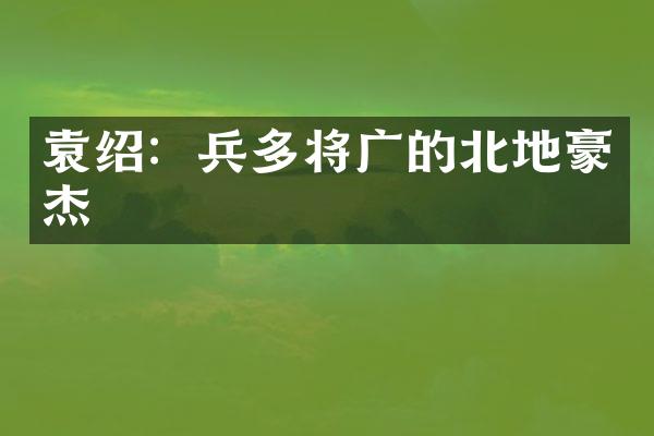 袁绍：兵多将广的北地豪杰