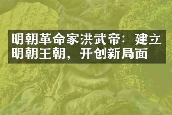 明朝革命家洪武帝：建立明朝王朝，开创新局面