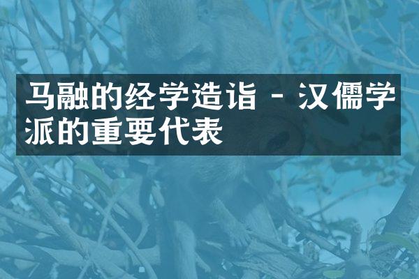 马融的经学造诣 - 汉儒学派的重要代表