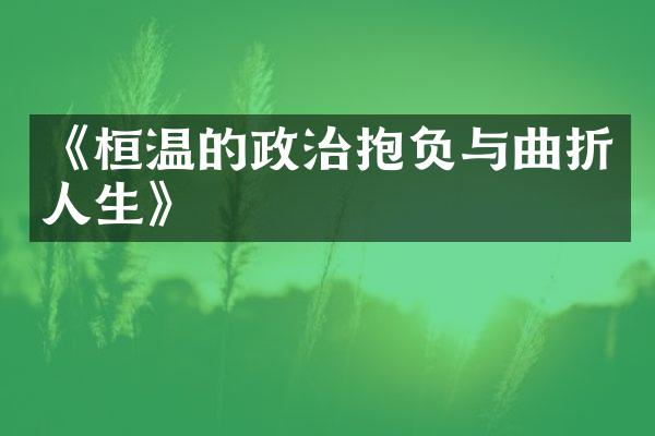 《桓温的政治抱负与曲折人生》