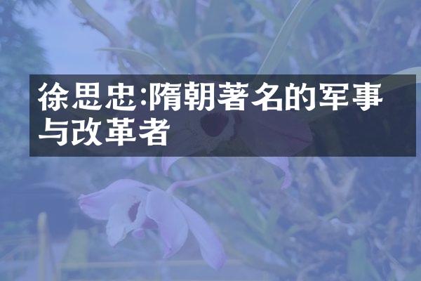 徐思忠:隋朝著名的军事家与改革者
