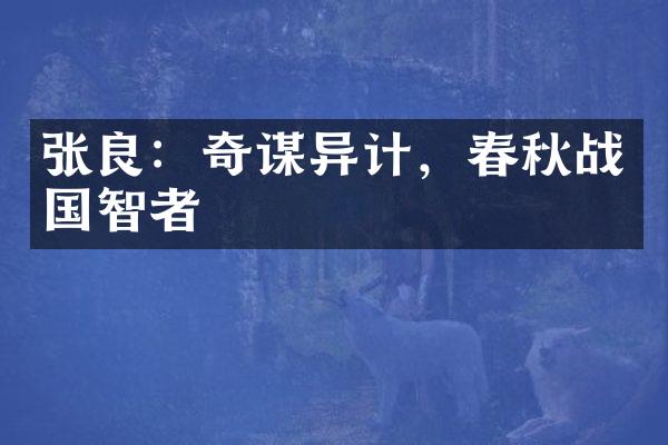 张良：奇谋异计，春秋战国智者