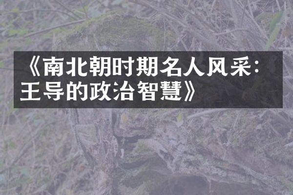 《南北朝时期名人风采：王导的政治智慧》