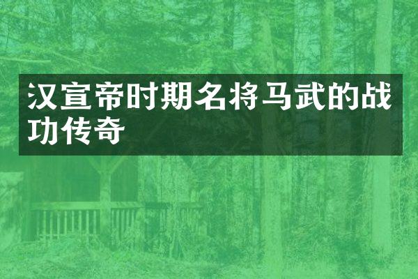 汉宣帝时期名将马武的战功传奇