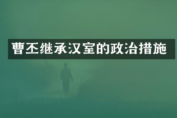 曹丕继承汉室的政治措施