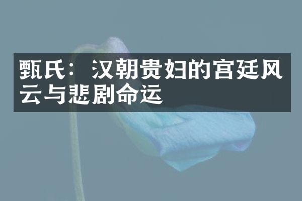 甄氏：汉朝贵妇的宫廷风云与悲剧命运