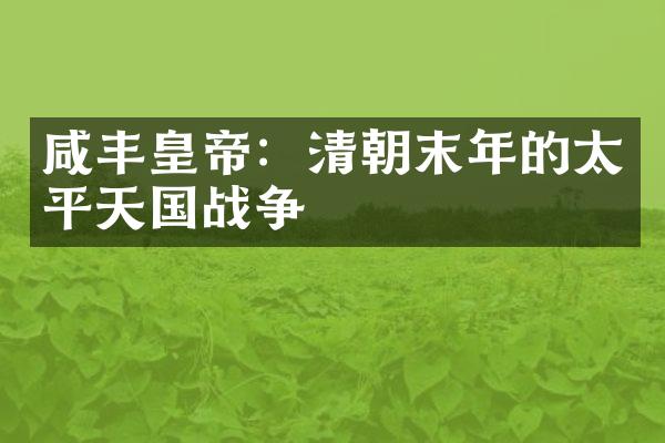 咸丰皇帝：清朝末年的太平天国战争