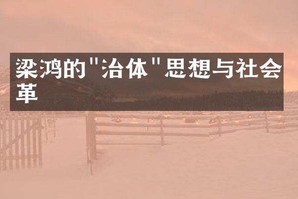 梁鸿的"治体"思想与社会改革