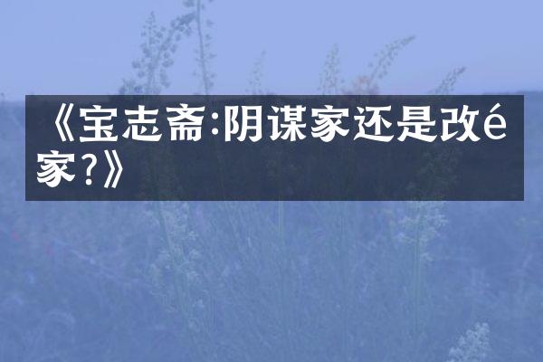 《宝志斋:阴谋家还是改革家?》
