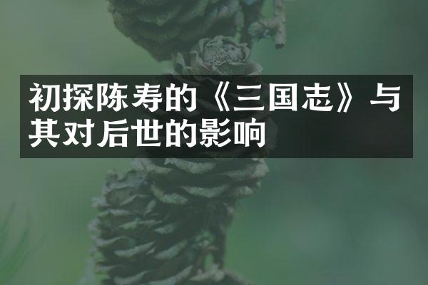 初探陈寿的《三国志》与其对后世的影响