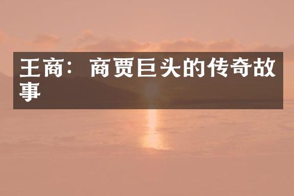 王商：商贾巨头的传奇故事