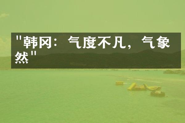 "韩冈：气度不凡，气象欣然"
