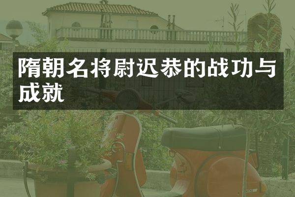 隋朝名将尉迟恭的战功与成就