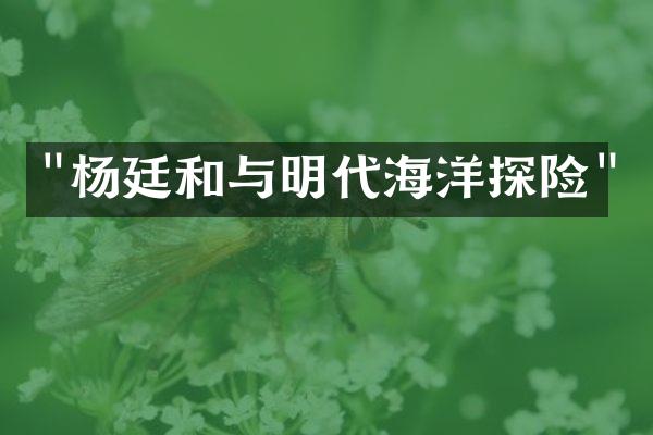 "杨廷和与明代海洋探险"