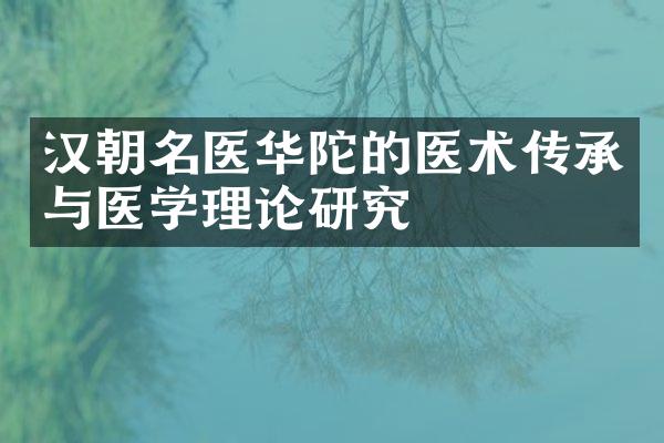 汉朝名医华陀的医术传承与医学理论研究