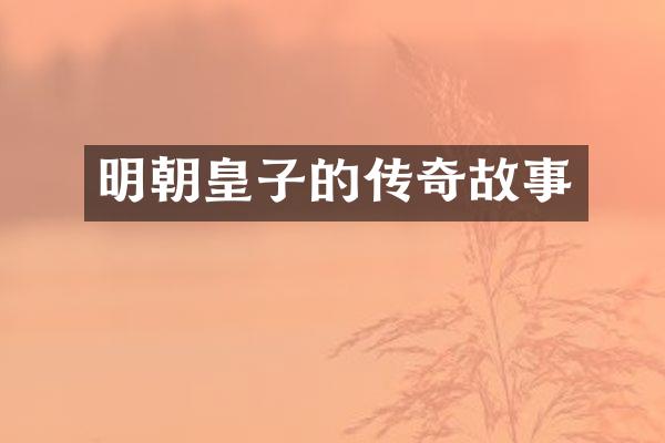 明朝皇子的传奇故事