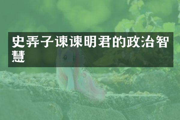史弄子谏谏明君的政治智慧