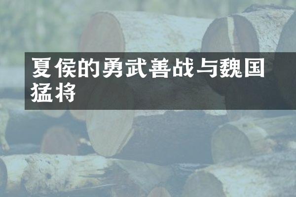 夏侯惇的勇武善战与魏国猛将
