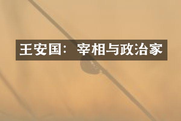 王安国：宰相与政治家