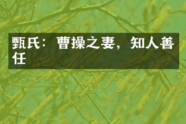 甄氏：曹操之妻，知人善任
