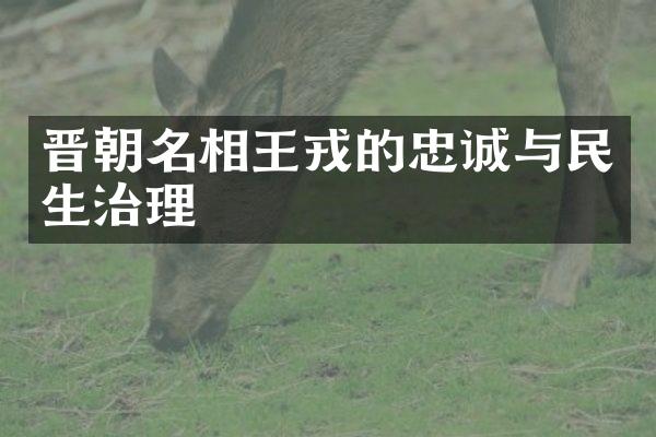 晋朝名相王戎的忠诚与民生治理