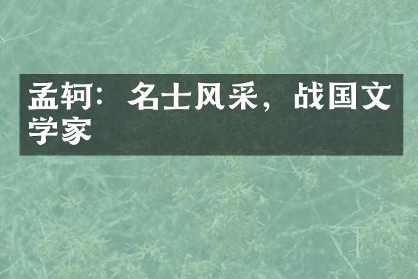 孟轲：名士风采，战国文学家