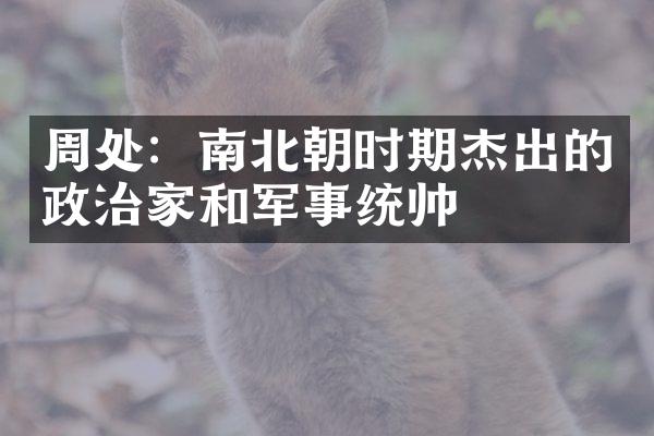 周处：南北朝时期杰出的政治家和军事统帅