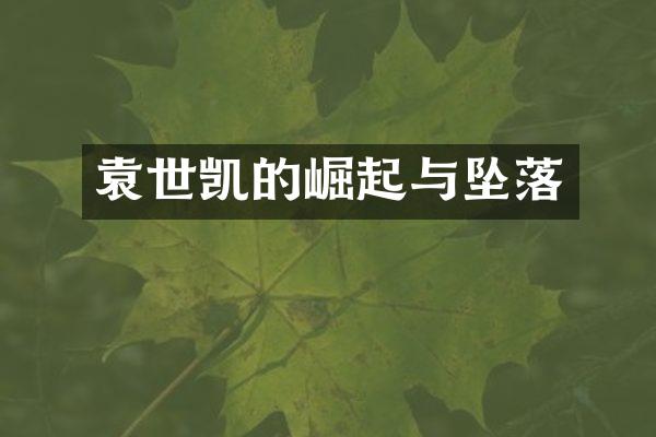 袁世凯的崛起与坠落