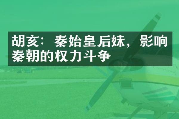 胡亥：秦始皇后妹，影响秦朝的权力斗争