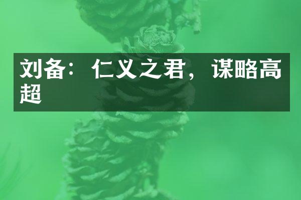 刘备：仁义之君，谋略高超