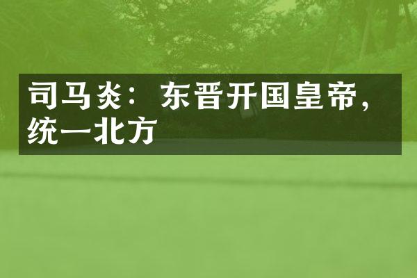 司马炎：东晋开国皇帝，统一北方