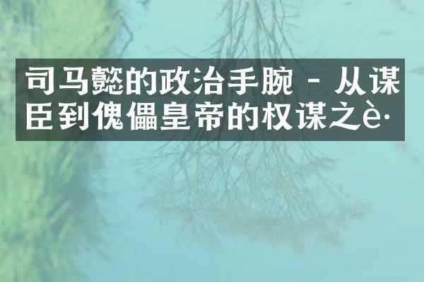 司马懿的政治手腕 - 从谋臣到傀儡皇帝的权谋之路