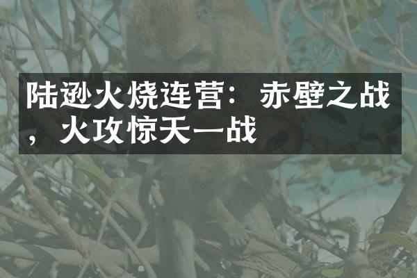 陆逊火烧连营：赤壁之战，火攻惊天一战