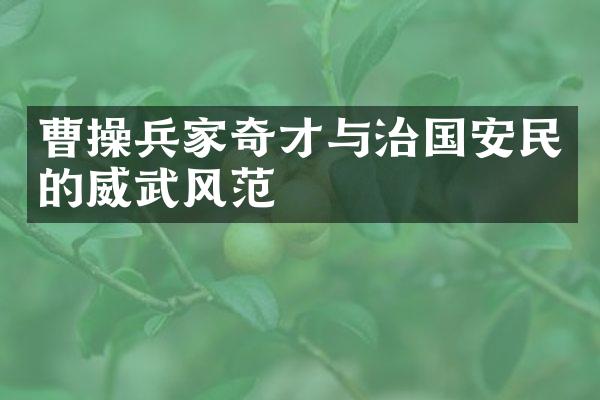 曹操兵家奇才与治国安民的威武风范