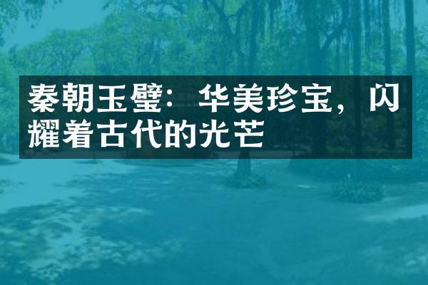 秦朝玉璧：华美珍宝，闪耀着古代的光芒