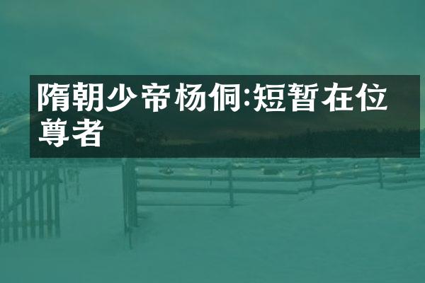 隋朝少帝杨侗:短暂在位的尊者