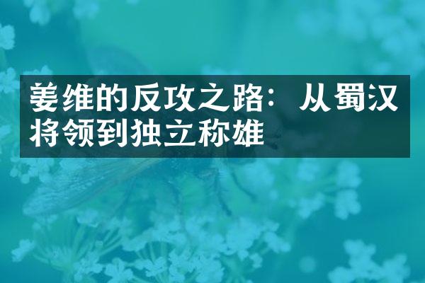 姜维的反攻之路：从蜀汉将领到独立称雄