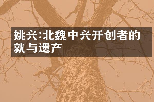 姚兴:北魏中兴开创者的成就与遗产