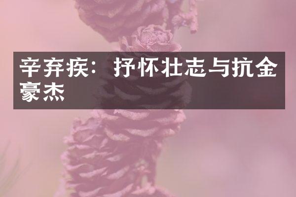 辛弃疾：抒怀壮志与抗金豪杰